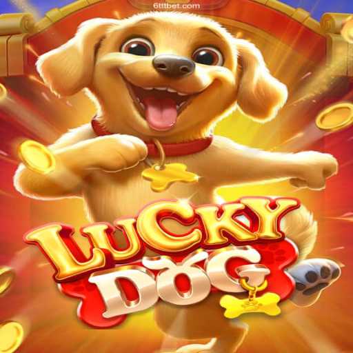 Exploring LuckyDog: A Closer Look at Brazil's Most Trusted Casino Game